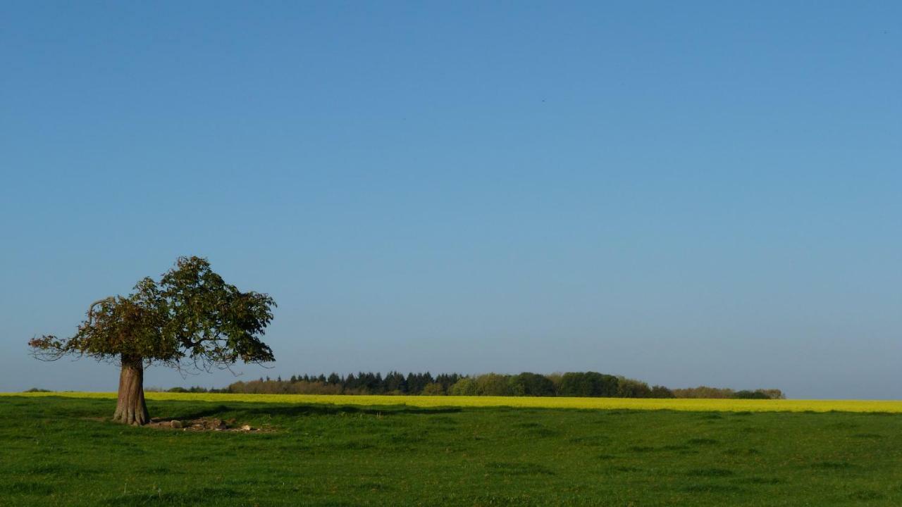 Les Houx De Mathieu Villa Engis Exteriör bild